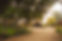 masoncreekflowerfarm-29.jpg
